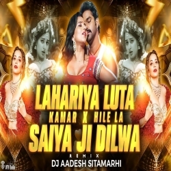 Lehariya Luta A Raja X Kamar Hilela X Shaiya Ji (Old Bhojpuri Mega Mashup Mix) Dj Aadesh Sitamarhi